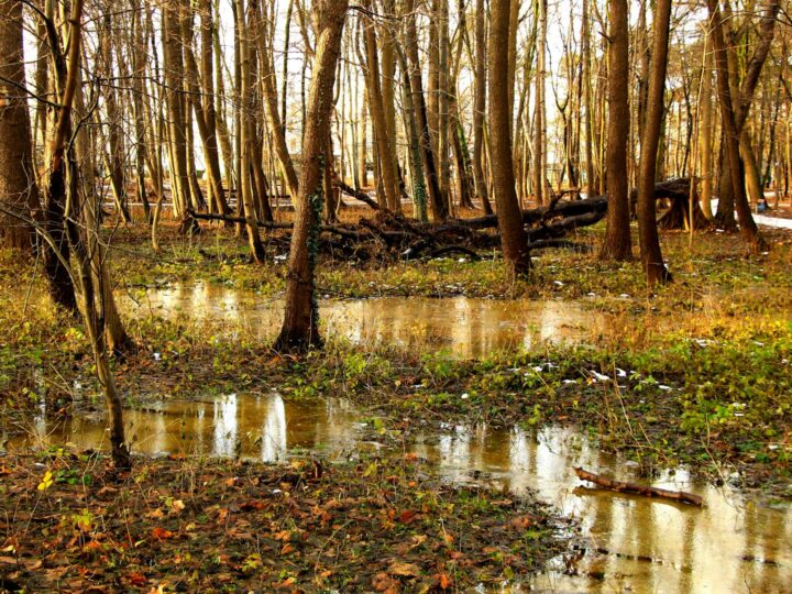 Parque Natural de Tamadaba